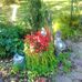 Esther Tuttle - Facebook
