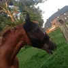 Esther pougin  - @esthervaillante - TikTok