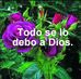 Esther Sofia Velez - Facebook