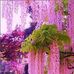 Esther Velez - Facebook