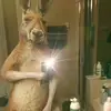 Esther Veloz - @esther.veloz09 - TikTok