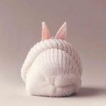 Esther Vidal - @esther_de_oria - Instagram