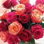 Esther Vogel - @legov71 - Instagram