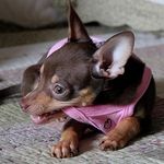 esther watts - @watts450fkz - Instagram