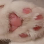 Esther Wieland - @wieland_esther - Instagram