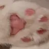 estherwieland718 - @estherwieland718 - TikTok