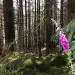 Esther Weinstein - @ejweinstein2024 - Instagram