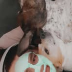 Esther Weeks - Facebook