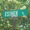 Esther Wick - @estherwick - TikTok
