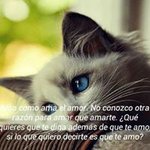Briggith Estrella Baca Loayza - @briggith2072 - Instagram