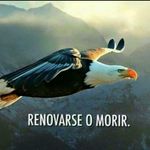 Mar Estrella Baca - @marestrellabaca - Instagram