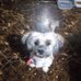 Sallet Estrella Capcha - Facebook