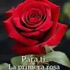 estrellacedillo34 - @estrella.cedillo39 - TikTok