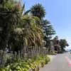 Estrella - @estrellachan_ - TikTok