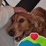 Estrella Collazo - @estrellacorme - Instagram