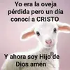 estrellacollazo60 - @estrellacollazo60 - TikTok