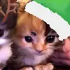 Estrella - @corral.estrella - TikTok