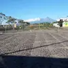 liaestrellacorral3 - @liaestrellacorral3 - TikTok