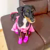 Estrella ⭐️ - @estrellaescobargonzalez - TikTok