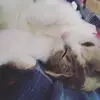 deva - @estrella.esparza69 - TikTok