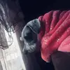 estrellamaria - @estrellamaria822 - TikTok