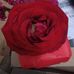 Estrella Matos - Facebook