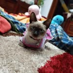 Estrellita🤩❤️ - @estrellamatos11 - Instagram