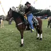 estrellarosasparamo - @estrellarosasparamo - TikTok