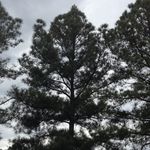 Ethan Abel - @photos_of_hot_springs - Instagram