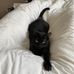 Ethan Ackerman - Facebook