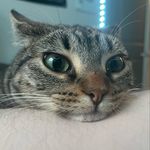 Ethan Ackerman - @esackerman - Instagram