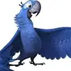 Ethan - @ethan.alvarez0 - TikTok