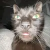 Ethan Andrade - @crackbaby1904 - TikTok
