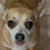 Ethan Andrade - @ethanandrade70 - TikTok