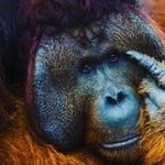 Ethan - @_ethan_atwell_ - Instagram