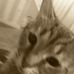 Ethan Backus - Facebook