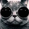 Ethan Bagley - @user327617981 - TikTok