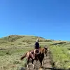 Ethan Baldwin - @ethanb_34 - TikTok