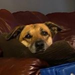Ethan Ball - @ethan13ball - Instagram