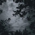 Ethan Ball - @ball.ethan - Instagram