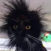 ËȚHÅŅ BĄŔŘØÑ - @eswizzy._ - TikTok