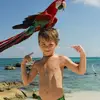 Ethan Barron - @ethanbarron0 - TikTok