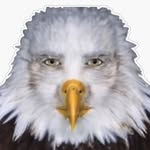 Ethan Barron - @ethan_barron_4 - Instagram