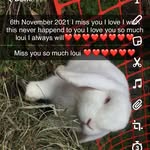 Ethan Beattie - @ethanbeattie3 - Instagram