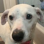 Ethan Bechtel - @ethan.bechtel - Instagram