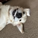 Ethan Bechtel - @bechtel_ethan - Instagram