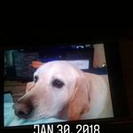 Ethan Bergeron - @ethanbergeron2005 - Instagram