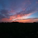 Ethan Bernhardt - @ethan_bernhardt_ - Instagram
