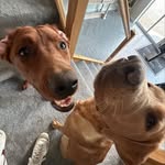 Ethan bevan - @ethannsbevan - Instagram
