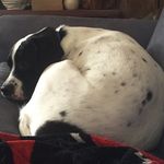 Ethan Bickel - @ethanbickel12 - Instagram
